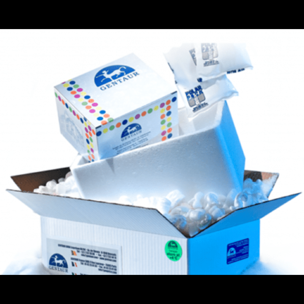 ANTIsize:NA+/K+ ATPASE;A1 50UG