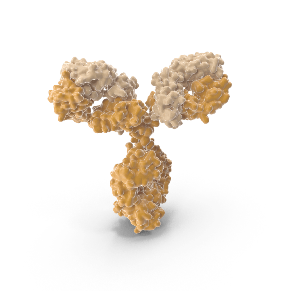 Vaccinia Virus B5R (Smallpox, VACV, VV), 0.1 mg