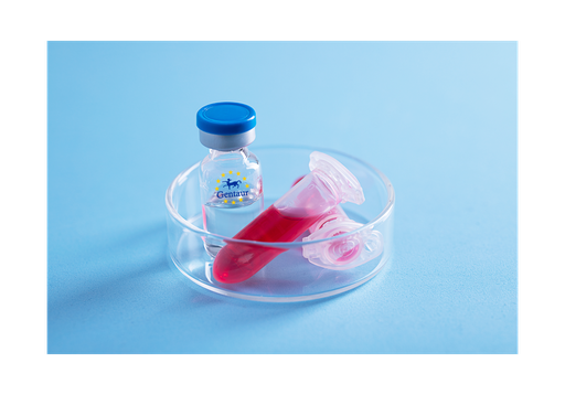 [GEN - PYT345-2ug] IL 15 Rat